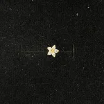 قیمت پیرسینگ طلا زنانه طرح گل سبک